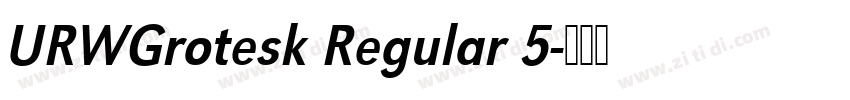 URWGrotesk Regular 5字体转换